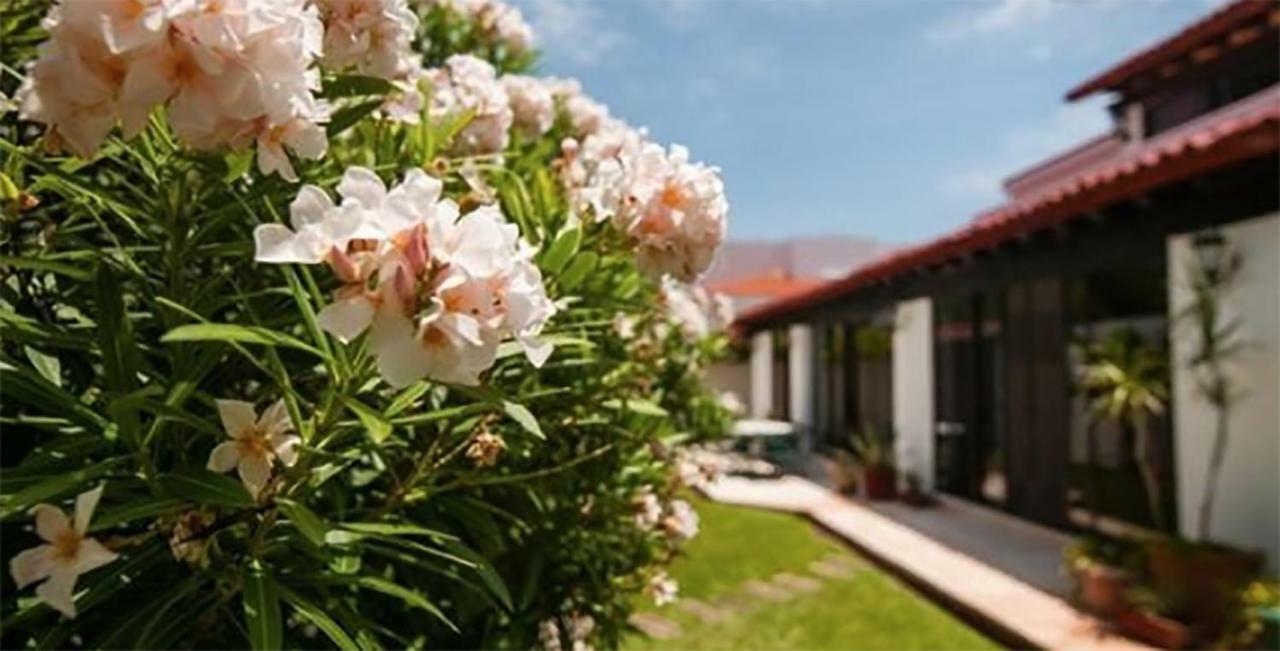 Cancun Luxury Stella Maris Villa By The Sea Luaran gambar